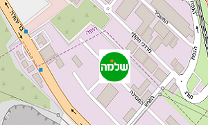 נשר תמונה קטנה