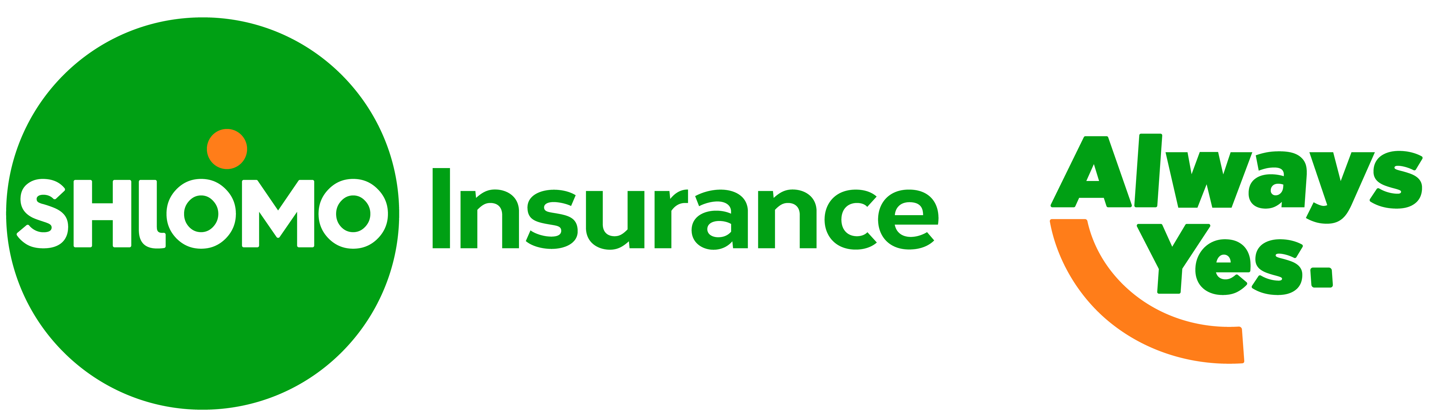 Shlomo Insurance